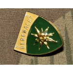 Фрачный значок N.O. Bergwacht